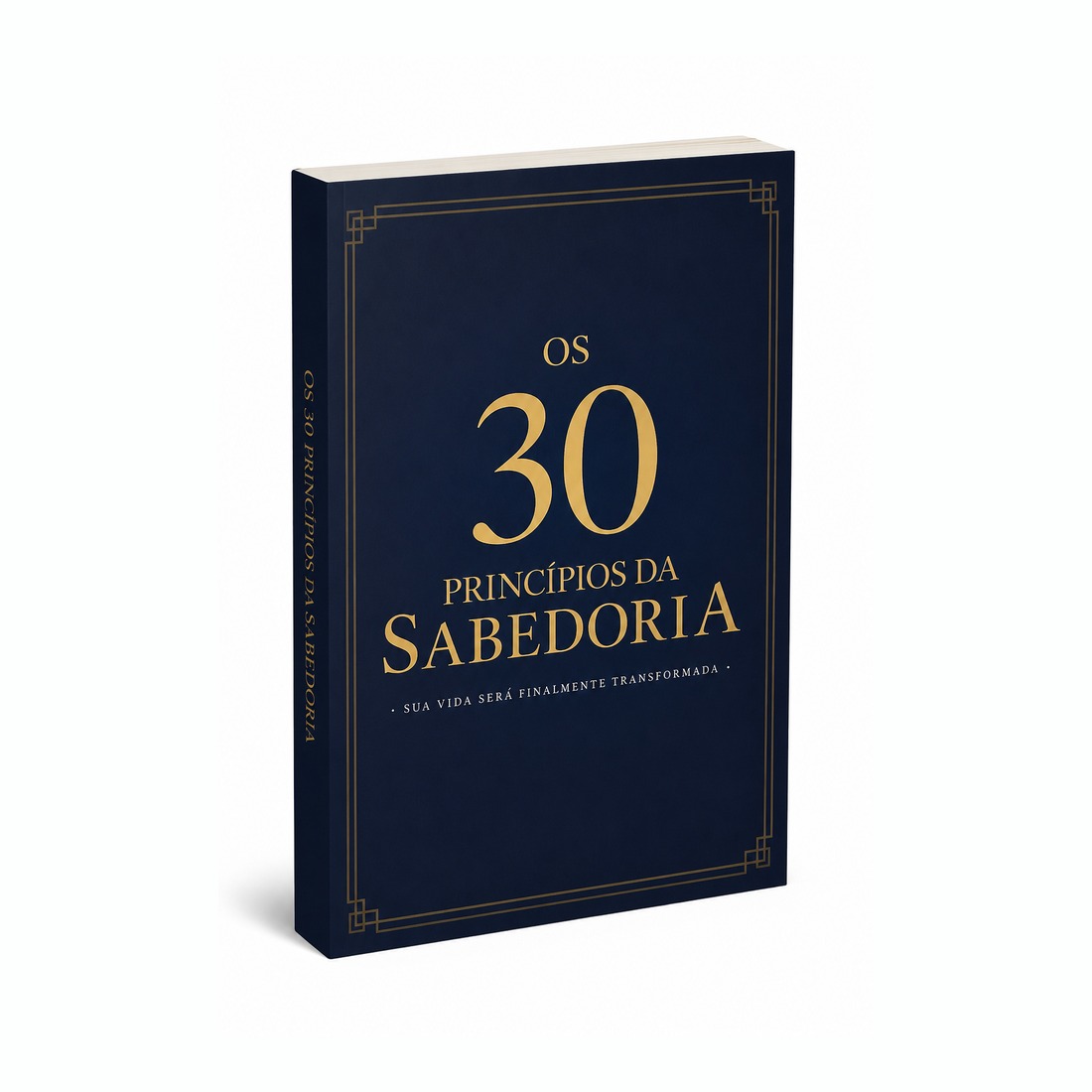 Os 30 Princípios da Sabedoria — o livro físico